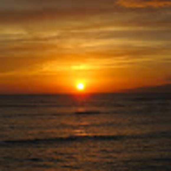 Meet your Posher, Leanne - Picture 1 of 1